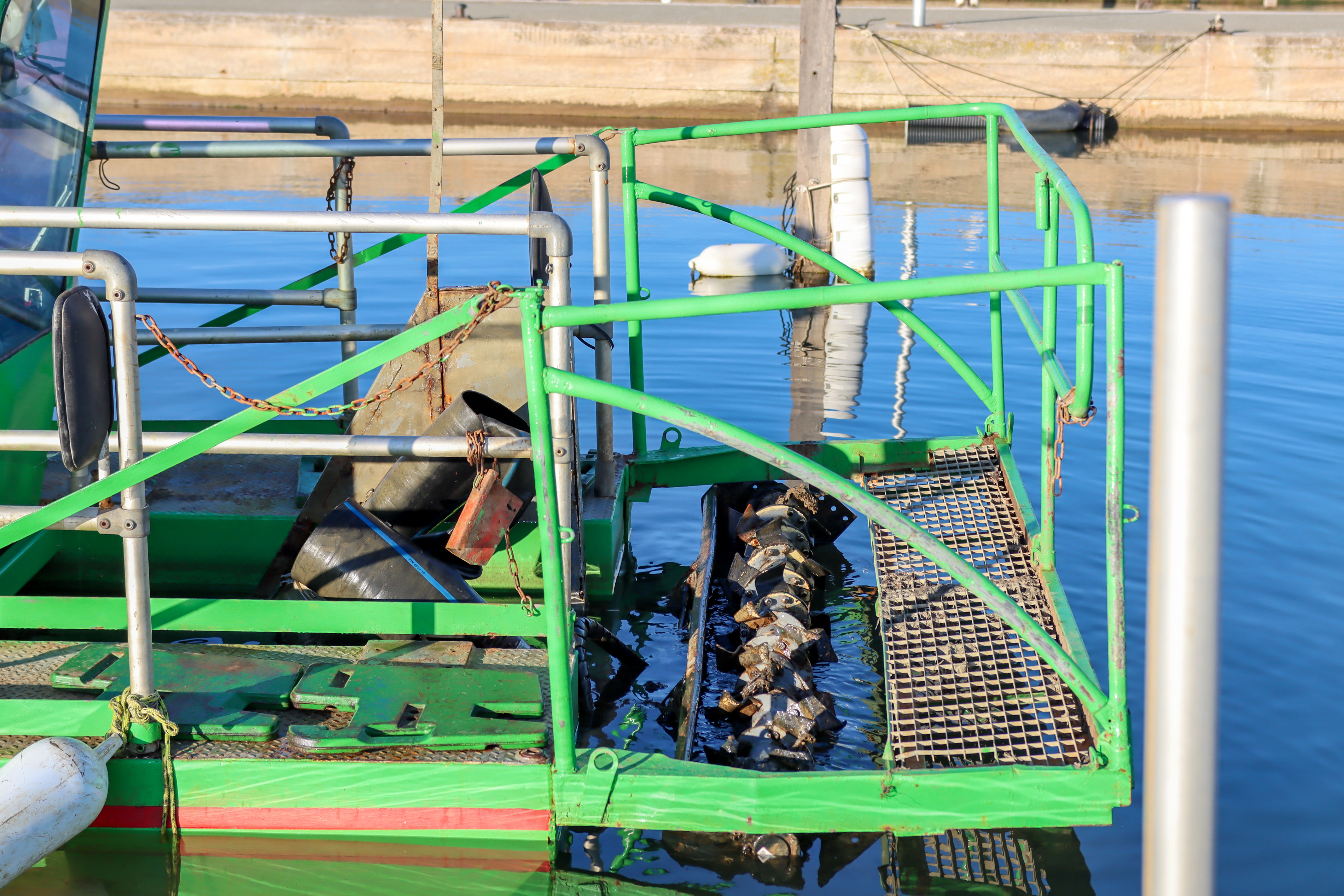 02 28 2025 OX IMG 2652 2