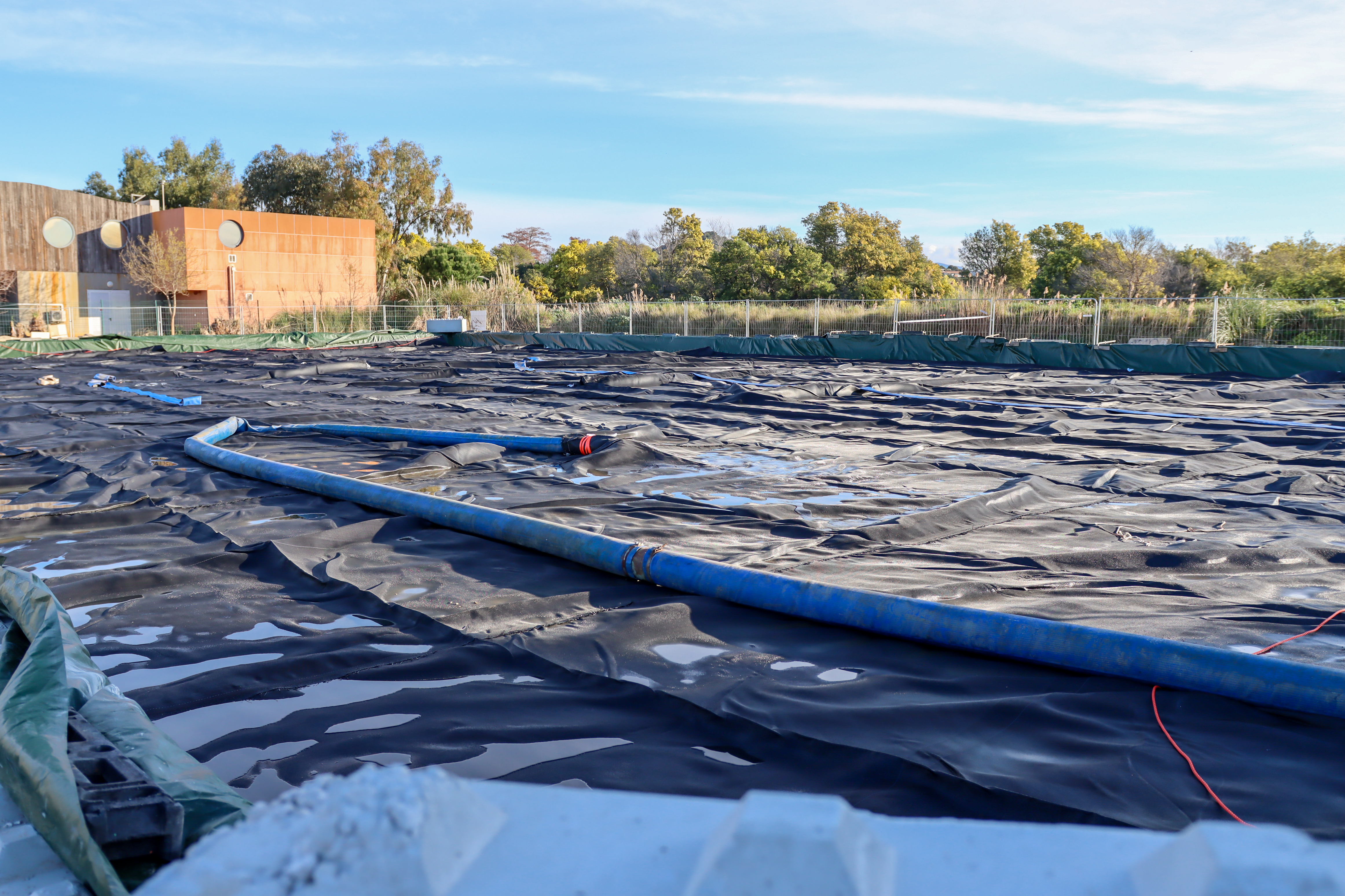 02 28 2025 OX IMG 2748 2