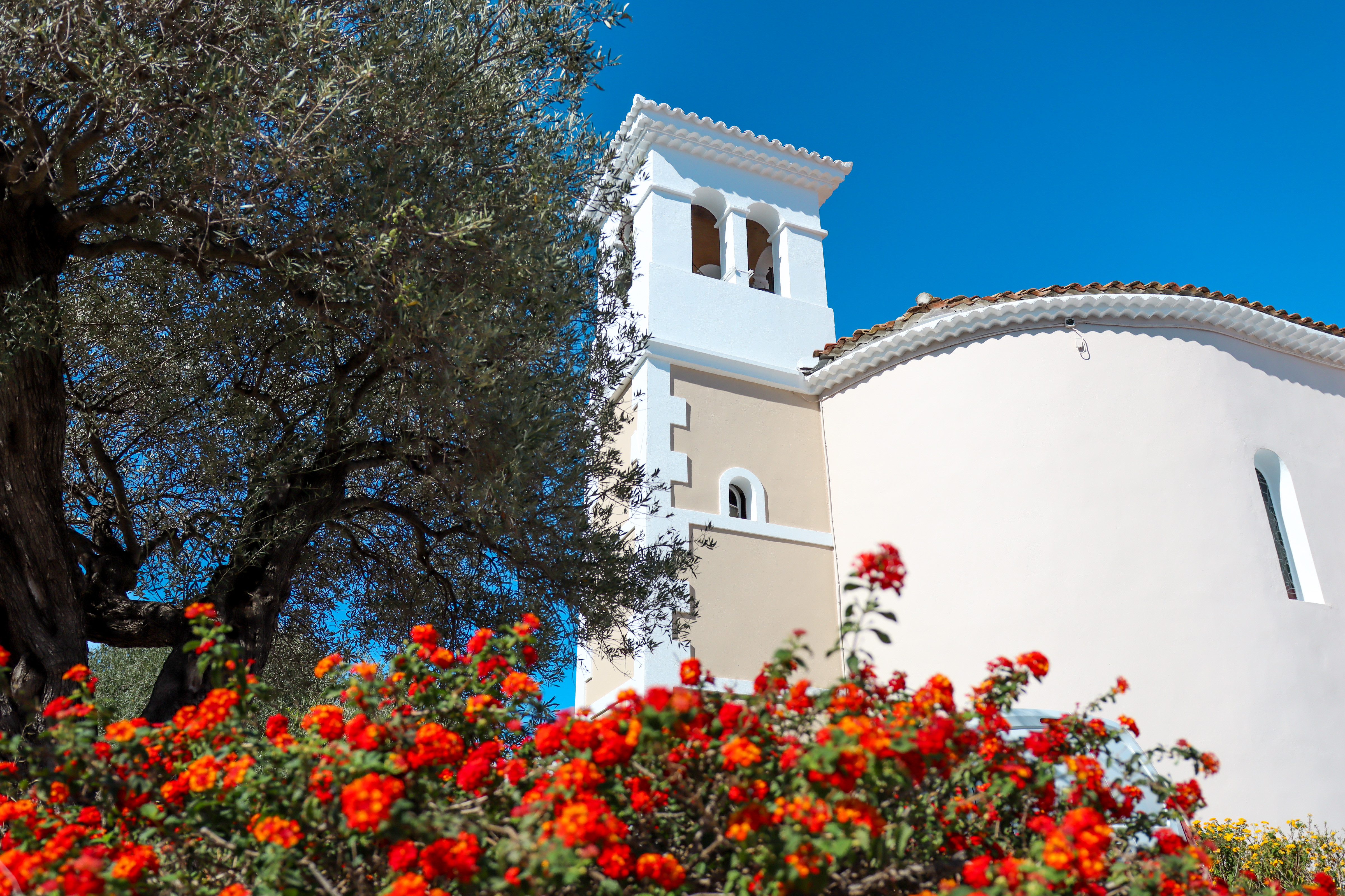 10 18 2024 OX IMG 3323