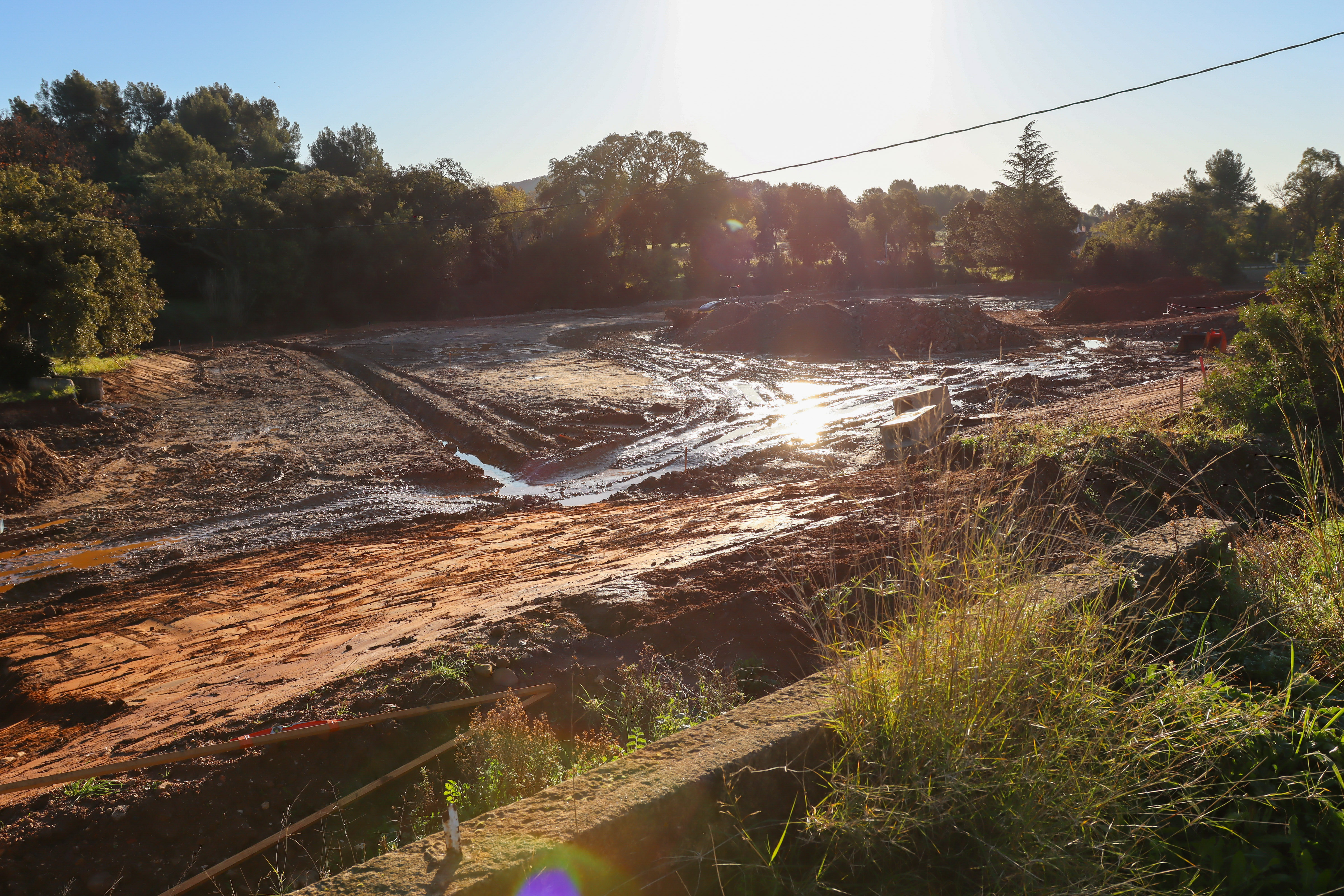 02 04 2025 OX 02 04 2025 OX IMG 9827